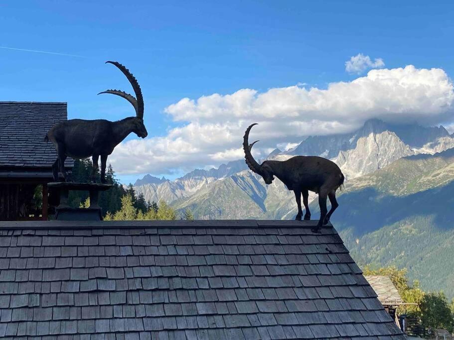 Praz Sur Arly - Proche Des Pistes Et De Megeve Apartment Ngoại thất bức ảnh
