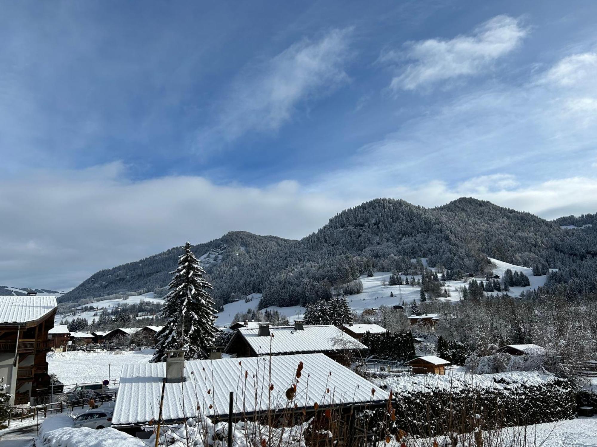 Praz Sur Arly - Proche Des Pistes Et De Megeve Apartment Ngoại thất bức ảnh
